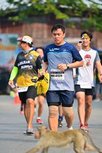 BIB: 47329
                            <button type="button" onclick="openModal(10385773)" class="btn btn-primary btn-sm float-right btn-popup" data-toggle="modal" data-target=".modal-high-quality">
                        <i class="fas fa-shopping-cart"></i> Add to Cart
                    </button>
                                            <button type="button" onclick="isThisMe(10385773, true)" class="btn btn-success btn-sm float-right btn-popup btn-isme hidden" data-toggle="tooltip" data-placement="bottom" title="นี่คือรูปของคุณใช่ไหม คลิกที่นี่เพื่อเอาเข้าอัลบั้ม">
                        <i class="fas fa-plus"></i> Add to album
                    </button>
                    <button type="button" onclick="isThisMe(10385773, false)" class="btn btn-warning btn-sm float-right btn-popup btn-isnotme hidden">
                        <i class="fas fa-ban"></i> Remove from album
                    </button>
