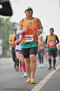 BIB: 43067
                            <button type="button" onclick="openModal(7882658)" class="btn btn-primary btn-sm float-right btn-popup" data-toggle="modal" data-target=".modal-high-quality">
                        <i class="fas fa-shopping-cart"></i> Add to Cart
                    </button>
                                            <button type="button" onclick="isThisMe(7882658, true)" class="btn btn-success btn-sm float-right btn-popup btn-isme hidden" data-toggle="tooltip" data-placement="bottom" title="นี่คือรูปของคุณใช่ไหม คลิกที่นี่เพื่อเอาเข้าอัลบั้ม">
                        <i class="fas fa-plus"></i> Add to album
                    </button>
                    <button type="button" onclick="isThisMe(7882658, false)" class="btn btn-warning btn-sm float-right btn-popup btn-isnotme hidden">
                        <i class="fas fa-ban"></i> Remove from album
                    </button>