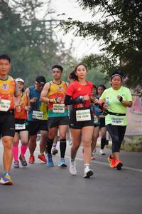BIB: 264, 27341, 200, 20256
                            <button type="button" onclick="openModal(8692721)" class="btn btn-primary btn-sm float-right btn-popup" data-toggle="modal" data-target=".modal-high-quality">
                        <i class="fas fa-shopping-cart"></i> Add to Cart
                    </button>
                                            <button type="button" onclick="isThisMe(8692721, true)" class="btn btn-success btn-sm float-right btn-popup btn-isme hidden" data-toggle="tooltip" data-placement="bottom" title="นี่คือรูปของคุณใช่ไหม คลิกที่นี่เพื่อเอาเข้าอัลบั้ม">
                        <i class="fas fa-plus"></i> Add to album
                    </button>
                    <button type="button" onclick="isThisMe(8692721, false)" class="btn btn-warning btn-sm float-right btn-popup btn-isnotme hidden">
                        <i class="fas fa-ban"></i> Remove from album
                    </button>