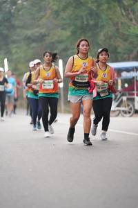 BIB: 26339, 2663
                            <button type="button" onclick="openModal(8713570)" class="btn btn-primary btn-sm float-right btn-popup" data-toggle="modal" data-target=".modal-high-quality">
                        <i class="fas fa-shopping-cart"></i> Add to Cart
                    </button>
                                            <button type="button" onclick="isThisMe(8713570, true)" class="btn btn-success btn-sm float-right btn-popup btn-isme hidden" data-toggle="tooltip" data-placement="bottom" title="นี่คือรูปของคุณใช่ไหม คลิกที่นี่เพื่อเอาเข้าอัลบั้ม">
                        <i class="fas fa-plus"></i> Add to album
                    </button>
                    <button type="button" onclick="isThisMe(8713570, false)" class="btn btn-warning btn-sm float-right btn-popup btn-isnotme hidden">
                        <i class="fas fa-ban"></i> Remove from album
                    </button>