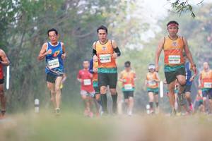 BIB: 21256, 21931
                            <button type="button" onclick="openModal(8958696)" class="btn btn-primary btn-sm float-right btn-popup" data-toggle="modal" data-target=".modal-high-quality">
                        <i class="fas fa-shopping-cart"></i> Add to Cart
                    </button>
                                            <button type="button" onclick="isThisMe(8958696, true)" class="btn btn-success btn-sm float-right btn-popup btn-isme hidden" data-toggle="tooltip" data-placement="bottom" title="นี่คือรูปของคุณใช่ไหม คลิกที่นี่เพื่อเอาเข้าอัลบั้ม">
                        <i class="fas fa-plus"></i> Add to album
                    </button>
                    <button type="button" onclick="isThisMe(8958696, false)" class="btn btn-warning btn-sm float-right btn-popup btn-isnotme hidden">
                        <i class="fas fa-ban"></i> Remove from album
                    </button>