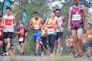 BIB: 200, 27162, 27716, 21378, 26804
                            <button type="button" onclick="openModal(8924954)" class="btn btn-primary btn-sm float-right btn-popup" data-toggle="modal" data-target=".modal-high-quality">
                        <i class="fas fa-shopping-cart"></i> Add to Cart
                    </button>
                                            <button type="button" onclick="isThisMe(8924954, true)" class="btn btn-success btn-sm float-right btn-popup btn-isme hidden" data-toggle="tooltip" data-placement="bottom" title="นี่คือรูปของคุณใช่ไหม คลิกที่นี่เพื่อเอาเข้าอัลบั้ม">
                        <i class="fas fa-plus"></i> Add to album
                    </button>
                    <button type="button" onclick="isThisMe(8924954, false)" class="btn btn-warning btn-sm float-right btn-popup btn-isnotme hidden">
                        <i class="fas fa-ban"></i> Remove from album
                    </button>