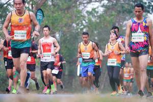 BIB: 210, 27162, 27116, 2138, 26804
                            <button type="button" onclick="openModal(8924960)" class="btn btn-primary btn-sm float-right btn-popup" data-toggle="modal" data-target=".modal-high-quality">
                        <i class="fas fa-shopping-cart"></i> Add to Cart
                    </button>
                                            <button type="button" onclick="isThisMe(8924960, true)" class="btn btn-success btn-sm float-right btn-popup btn-isme hidden" data-toggle="tooltip" data-placement="bottom" title="นี่คือรูปของคุณใช่ไหม คลิกที่นี่เพื่อเอาเข้าอัลบั้ม">
                        <i class="fas fa-plus"></i> Add to album
                    </button>
                    <button type="button" onclick="isThisMe(8924960, false)" class="btn btn-warning btn-sm float-right btn-popup btn-isnotme hidden">
                        <i class="fas fa-ban"></i> Remove from album
                    </button>