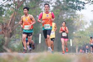 BIB: 21629, 263
                            <button type="button" onclick="openModal(8933184)" class="btn btn-primary btn-sm float-right btn-popup" data-toggle="modal" data-target=".modal-high-quality">
                        <i class="fas fa-shopping-cart"></i> Add to Cart
                    </button>
                                            <button type="button" onclick="isThisMe(8933184, true)" class="btn btn-success btn-sm float-right btn-popup btn-isme hidden" data-toggle="tooltip" data-placement="bottom" title="นี่คือรูปของคุณใช่ไหม คลิกที่นี่เพื่อเอาเข้าอัลบั้ม">
                        <i class="fas fa-plus"></i> Add to album
                    </button>
                    <button type="button" onclick="isThisMe(8933184, false)" class="btn btn-warning btn-sm float-right btn-popup btn-isnotme hidden">
                        <i class="fas fa-ban"></i> Remove from album
                    </button>