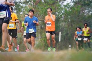 BIB: 77228, 26521, 2650
                            <button type="button" onclick="openModal(8924004)" class="btn btn-primary btn-sm float-right btn-popup" data-toggle="modal" data-target=".modal-high-quality">
                        <i class="fas fa-shopping-cart"></i> Add to Cart
                    </button>
                                            <button type="button" onclick="isThisMe(8924004, true)" class="btn btn-success btn-sm float-right btn-popup btn-isme hidden" data-toggle="tooltip" data-placement="bottom" title="นี่คือรูปของคุณใช่ไหม คลิกที่นี่เพื่อเอาเข้าอัลบั้ม">
                        <i class="fas fa-plus"></i> Add to album
                    </button>
                    <button type="button" onclick="isThisMe(8924004, false)" class="btn btn-warning btn-sm float-right btn-popup btn-isnotme hidden">
                        <i class="fas fa-ban"></i> Remove from album
                    </button>
