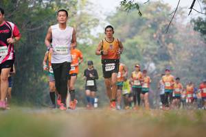 BIB: 2412
                            <button type="button" onclick="openModal(8907623)" class="btn btn-primary btn-sm float-right btn-popup" data-toggle="modal" data-target=".modal-high-quality">
                        <i class="fas fa-shopping-cart"></i> Add to Cart
                    </button>
                                            <button type="button" onclick="isThisMe(8907623, true)" class="btn btn-success btn-sm float-right btn-popup btn-isme hidden" data-toggle="tooltip" data-placement="bottom" title="นี่คือรูปของคุณใช่ไหม คลิกที่นี่เพื่อเอาเข้าอัลบั้ม">
                        <i class="fas fa-plus"></i> Add to album
                    </button>
                    <button type="button" onclick="isThisMe(8907623, false)" class="btn btn-warning btn-sm float-right btn-popup btn-isnotme hidden">
                        <i class="fas fa-ban"></i> Remove from album
                    </button>