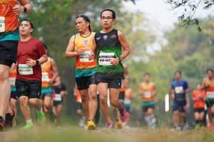 BIB: 4816, 71701
                            <button type="button" onclick="openModal(8915645)" class="btn btn-primary btn-sm float-right btn-popup" data-toggle="modal" data-target=".modal-high-quality">
                        <i class="fas fa-shopping-cart"></i> Add to Cart
                    </button>
                                            <button type="button" onclick="isThisMe(8915645, true)" class="btn btn-success btn-sm float-right btn-popup btn-isme hidden" data-toggle="tooltip" data-placement="bottom" title="นี่คือรูปของคุณใช่ไหม คลิกที่นี่เพื่อเอาเข้าอัลบั้ม">
                        <i class="fas fa-plus"></i> Add to album
                    </button>
                    <button type="button" onclick="isThisMe(8915645, false)" class="btn btn-warning btn-sm float-right btn-popup btn-isnotme hidden">
                        <i class="fas fa-ban"></i> Remove from album
                    </button>