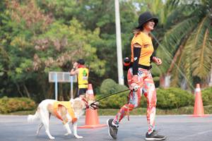 BIB: 
                            <button type="button" onclick="openModal(9034462)" class="btn btn-primary btn-sm float-right btn-popup" data-toggle="modal" data-target=".modal-high-quality">
                        <i class="fas fa-shopping-cart"></i> Add to Cart
                    </button>
                                            <button type="button" onclick="isThisMe(9034462, true)" class="btn btn-success btn-sm float-right btn-popup btn-isme hidden" data-toggle="tooltip" data-placement="bottom" title="นี่คือรูปของคุณใช่ไหม คลิกที่นี่เพื่อเอาเข้าอัลบั้ม">
                        <i class="fas fa-plus"></i> Add to album
                    </button>
                    <button type="button" onclick="isThisMe(9034462, false)" class="btn btn-warning btn-sm float-right btn-popup btn-isnotme hidden">
                        <i class="fas fa-ban"></i> Remove from album
                    </button>