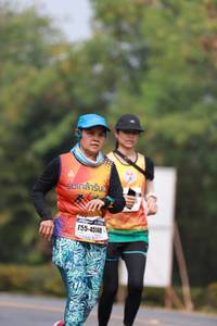 BIB: 45148
                            <button type="button" onclick="openModal(8993623)" class="btn btn-primary btn-sm float-right btn-popup" data-toggle="modal" data-target=".modal-high-quality">
                        <i class="fas fa-shopping-cart"></i> Add to Cart
                    </button>
                                            <button type="button" onclick="isThisMe(8993623, true)" class="btn btn-success btn-sm float-right btn-popup btn-isme hidden" data-toggle="tooltip" data-placement="bottom" title="นี่คือรูปของคุณใช่ไหม คลิกที่นี่เพื่อเอาเข้าอัลบั้ม">
                        <i class="fas fa-plus"></i> Add to album
                    </button>
                    <button type="button" onclick="isThisMe(8993623, false)" class="btn btn-warning btn-sm float-right btn-popup btn-isnotme hidden">
                        <i class="fas fa-ban"></i> Remove from album
                    </button>