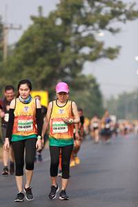 BIB: 82039, 82038
                            <button type="button" onclick="openModal(9163161)" class="btn btn-primary btn-sm float-right btn-popup" data-toggle="modal" data-target=".modal-high-quality">
                        <i class="fas fa-shopping-cart"></i> Add to Cart
                    </button>
                                            <button type="button" onclick="isThisMe(9163161, true)" class="btn btn-success btn-sm float-right btn-popup btn-isme hidden" data-toggle="tooltip" data-placement="bottom" title="นี่คือรูปของคุณใช่ไหม คลิกที่นี่เพื่อเอาเข้าอัลบั้ม">
                        <i class="fas fa-plus"></i> Add to album
                    </button>
                    <button type="button" onclick="isThisMe(9163161, false)" class="btn btn-warning btn-sm float-right btn-popup btn-isnotme hidden">
                        <i class="fas fa-ban"></i> Remove from album
                    </button>