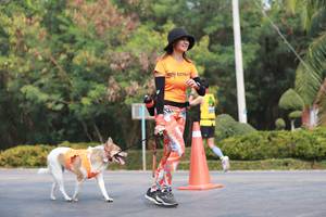 BIB: 
                            <button type="button" onclick="openModal(9034444)" class="btn btn-primary btn-sm float-right btn-popup" data-toggle="modal" data-target=".modal-high-quality">
                        <i class="fas fa-shopping-cart"></i> Add to Cart
                    </button>
                                            <button type="button" onclick="isThisMe(9034444, true)" class="btn btn-success btn-sm float-right btn-popup btn-isme hidden" data-toggle="tooltip" data-placement="bottom" title="นี่คือรูปของคุณใช่ไหม คลิกที่นี่เพื่อเอาเข้าอัลบั้ม">
                        <i class="fas fa-plus"></i> Add to album
                    </button>
                    <button type="button" onclick="isThisMe(9034444, false)" class="btn btn-warning btn-sm float-right btn-popup btn-isnotme hidden">
                        <i class="fas fa-ban"></i> Remove from album
                    </button>