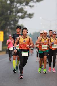 BIB: 2150, 21105
                            <button type="button" onclick="openModal(8699027)" class="btn btn-primary btn-sm float-right btn-popup" data-toggle="modal" data-target=".modal-high-quality">
                        <i class="fas fa-shopping-cart"></i> Add to Cart
                    </button>
                                            <button type="button" onclick="isThisMe(8699027, true)" class="btn btn-success btn-sm float-right btn-popup btn-isme hidden" data-toggle="tooltip" data-placement="bottom" title="นี่คือรูปของคุณใช่ไหม คลิกที่นี่เพื่อเอาเข้าอัลบั้ม">
                        <i class="fas fa-plus"></i> Add to album
                    </button>
                    <button type="button" onclick="isThisMe(8699027, false)" class="btn btn-warning btn-sm float-right btn-popup btn-isnotme hidden">
                        <i class="fas fa-ban"></i> Remove from album
                    </button>