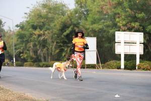 BIB: 
                            <button type="button" onclick="openModal(9034372)" class="btn btn-primary btn-sm float-right btn-popup" data-toggle="modal" data-target=".modal-high-quality">
                        <i class="fas fa-shopping-cart"></i> Add to Cart
                    </button>
                                            <button type="button" onclick="isThisMe(9034372, true)" class="btn btn-success btn-sm float-right btn-popup btn-isme hidden" data-toggle="tooltip" data-placement="bottom" title="นี่คือรูปของคุณใช่ไหม คลิกที่นี่เพื่อเอาเข้าอัลบั้ม">
                        <i class="fas fa-plus"></i> Add to album
                    </button>
                    <button type="button" onclick="isThisMe(9034372, false)" class="btn btn-warning btn-sm float-right btn-popup btn-isnotme hidden">
                        <i class="fas fa-ban"></i> Remove from album
                    </button>