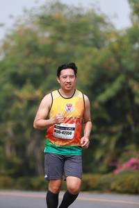 BIB: 42358
                            <button type="button" onclick="openModal(9033990)" class="btn btn-primary btn-sm float-right btn-popup" data-toggle="modal" data-target=".modal-high-quality">
                        <i class="fas fa-shopping-cart"></i> Add to Cart
                    </button>
                                            <button type="button" onclick="isThisMe(9033990, true)" class="btn btn-success btn-sm float-right btn-popup btn-isme hidden" data-toggle="tooltip" data-placement="bottom" title="นี่คือรูปของคุณใช่ไหม คลิกที่นี่เพื่อเอาเข้าอัลบั้ม">
                        <i class="fas fa-plus"></i> Add to album
                    </button>
                    <button type="button" onclick="isThisMe(9033990, false)" class="btn btn-warning btn-sm float-right btn-popup btn-isnotme hidden">
                        <i class="fas fa-ban"></i> Remove from album
                    </button>