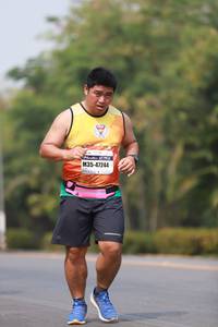 BIB: 47244
                            <button type="button" onclick="openModal(9064673)" class="btn btn-primary btn-sm float-right btn-popup" data-toggle="modal" data-target=".modal-high-quality">
                        <i class="fas fa-shopping-cart"></i> Add to Cart
                    </button>
                                            <button type="button" onclick="isThisMe(9064673, true)" class="btn btn-success btn-sm float-right btn-popup btn-isme hidden" data-toggle="tooltip" data-placement="bottom" title="นี่คือรูปของคุณใช่ไหม คลิกที่นี่เพื่อเอาเข้าอัลบั้ม">
                        <i class="fas fa-plus"></i> Add to album
                    </button>
                    <button type="button" onclick="isThisMe(9064673, false)" class="btn btn-warning btn-sm float-right btn-popup btn-isnotme hidden">
                        <i class="fas fa-ban"></i> Remove from album
                    </button>