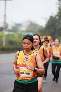 BIB: 10110
                            <button type="button" onclick="openModal(8658992)" class="btn btn-primary btn-sm float-right btn-popup" data-toggle="modal" data-target=".modal-high-quality">
                        <i class="fas fa-shopping-cart"></i> Add to Cart
                    </button>
                                            <button type="button" onclick="isThisMe(8658992, true)" class="btn btn-success btn-sm float-right btn-popup btn-isme hidden" data-toggle="tooltip" data-placement="bottom" title="นี่คือรูปของคุณใช่ไหม คลิกที่นี่เพื่อเอาเข้าอัลบั้ม">
                        <i class="fas fa-plus"></i> Add to album
                    </button>
                    <button type="button" onclick="isThisMe(8658992, false)" class="btn btn-warning btn-sm float-right btn-popup btn-isnotme hidden">
                        <i class="fas fa-ban"></i> Remove from album
                    </button>