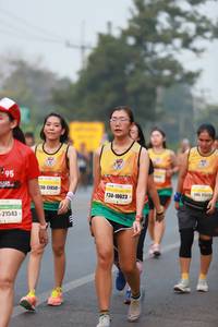 BIB: 145, 173, 17450, 10623, 21543, 
                            <button type="button" onclick="openModal(8671273)" class="btn btn-primary btn-sm float-right btn-popup" data-toggle="modal" data-target=".modal-high-quality">
                        <i class="fas fa-shopping-cart"></i> Add to Cart
                    </button>
                                            <button type="button" onclick="isThisMe(8671273, true)" class="btn btn-success btn-sm float-right btn-popup btn-isme hidden" data-toggle="tooltip" data-placement="bottom" title="นี่คือรูปของคุณใช่ไหม คลิกที่นี่เพื่อเอาเข้าอัลบั้ม">
                        <i class="fas fa-plus"></i> Add to album
                    </button>
                    <button type="button" onclick="isThisMe(8671273, false)" class="btn btn-warning btn-sm float-right btn-popup btn-isnotme hidden">
                        <i class="fas fa-ban"></i> Remove from album
                    </button>