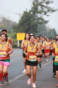 BIB: 172, 16428
                            <button type="button" onclick="openModal(8694938)" class="btn btn-primary btn-sm float-right btn-popup" data-toggle="modal" data-target=".modal-high-quality">
                        <i class="fas fa-shopping-cart"></i> Add to Cart
                    </button>
                                            <button type="button" onclick="isThisMe(8694938, true)" class="btn btn-success btn-sm float-right btn-popup btn-isme hidden" data-toggle="tooltip" data-placement="bottom" title="นี่คือรูปของคุณใช่ไหม คลิกที่นี่เพื่อเอาเข้าอัลบั้ม">
                        <i class="fas fa-plus"></i> Add to album
                    </button>
                    <button type="button" onclick="isThisMe(8694938, false)" class="btn btn-warning btn-sm float-right btn-popup btn-isnotme hidden">
                        <i class="fas fa-ban"></i> Remove from album
                    </button>