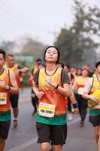 BIB: 7162, 17761
                            <button type="button" onclick="openModal(8695058)" class="btn btn-primary btn-sm float-right btn-popup" data-toggle="modal" data-target=".modal-high-quality">
                        <i class="fas fa-shopping-cart"></i> Add to Cart
                    </button>
                                            <button type="button" onclick="isThisMe(8695058, true)" class="btn btn-success btn-sm float-right btn-popup btn-isme hidden" data-toggle="tooltip" data-placement="bottom" title="นี่คือรูปของคุณใช่ไหม คลิกที่นี่เพื่อเอาเข้าอัลบั้ม">
                        <i class="fas fa-plus"></i> Add to album
                    </button>
                    <button type="button" onclick="isThisMe(8695058, false)" class="btn btn-warning btn-sm float-right btn-popup btn-isnotme hidden">
                        <i class="fas fa-ban"></i> Remove from album
                    </button>