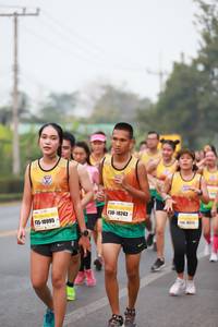 BIB: 10243, 10995
                            <button type="button" onclick="openModal(8657724)" class="btn btn-primary btn-sm float-right btn-popup" data-toggle="modal" data-target=".modal-high-quality">
                        <i class="fas fa-shopping-cart"></i> Add to Cart
                    </button>
                                            <button type="button" onclick="isThisMe(8657724, true)" class="btn btn-success btn-sm float-right btn-popup btn-isme hidden" data-toggle="tooltip" data-placement="bottom" title="นี่คือรูปของคุณใช่ไหม คลิกที่นี่เพื่อเอาเข้าอัลบั้ม">
                        <i class="fas fa-plus"></i> Add to album
                    </button>
                    <button type="button" onclick="isThisMe(8657724, false)" class="btn btn-warning btn-sm float-right btn-popup btn-isnotme hidden">
                        <i class="fas fa-ban"></i> Remove from album
                    </button>