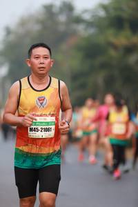 BIB: 212, 21061
                            <button type="button" onclick="openModal(8703313)" class="btn btn-primary btn-sm float-right btn-popup" data-toggle="modal" data-target=".modal-high-quality">
                        <i class="fas fa-shopping-cart"></i> Add to Cart
                    </button>
                                            <button type="button" onclick="isThisMe(8703313, true)" class="btn btn-success btn-sm float-right btn-popup btn-isme hidden" data-toggle="tooltip" data-placement="bottom" title="นี่คือรูปของคุณใช่ไหม คลิกที่นี่เพื่อเอาเข้าอัลบั้ม">
                        <i class="fas fa-plus"></i> Add to album
                    </button>
                    <button type="button" onclick="isThisMe(8703313, false)" class="btn btn-warning btn-sm float-right btn-popup btn-isnotme hidden">
                        <i class="fas fa-ban"></i> Remove from album
                    </button>