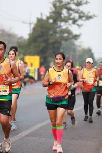 BIB: 17024
                            <button type="button" onclick="openModal(8694801)" class="btn btn-primary btn-sm float-right btn-popup" data-toggle="modal" data-target=".modal-high-quality">
                        <i class="fas fa-shopping-cart"></i> Add to Cart
                    </button>
                                            <button type="button" onclick="isThisMe(8694801, true)" class="btn btn-success btn-sm float-right btn-popup btn-isme hidden" data-toggle="tooltip" data-placement="bottom" title="นี่คือรูปของคุณใช่ไหม คลิกที่นี่เพื่อเอาเข้าอัลบั้ม">
                        <i class="fas fa-plus"></i> Add to album
                    </button>
                    <button type="button" onclick="isThisMe(8694801, false)" class="btn btn-warning btn-sm float-right btn-popup btn-isnotme hidden">
                        <i class="fas fa-ban"></i> Remove from album
                    </button>