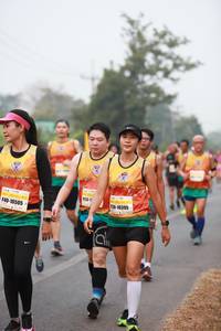 BIB: 10395, 10505
                            <button type="button" onclick="openModal(8656044)" class="btn btn-primary btn-sm float-right btn-popup" data-toggle="modal" data-target=".modal-high-quality">
                        <i class="fas fa-shopping-cart"></i> Add to Cart
                    </button>
                                            <button type="button" onclick="isThisMe(8656044, true)" class="btn btn-success btn-sm float-right btn-popup btn-isme hidden" data-toggle="tooltip" data-placement="bottom" title="นี่คือรูปของคุณใช่ไหม คลิกที่นี่เพื่อเอาเข้าอัลบั้ม">
                        <i class="fas fa-plus"></i> Add to album
                    </button>
                    <button type="button" onclick="isThisMe(8656044, false)" class="btn btn-warning btn-sm float-right btn-popup btn-isnotme hidden">
                        <i class="fas fa-ban"></i> Remove from album
                    </button>