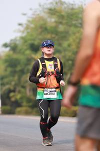 BIB: 42659
                            <button type="button" onclick="openModal(9029163)" class="btn btn-primary btn-sm float-right btn-popup" data-toggle="modal" data-target=".modal-high-quality">
                        <i class="fas fa-shopping-cart"></i> Add to Cart
                    </button>
                                            <button type="button" onclick="isThisMe(9029163, true)" class="btn btn-success btn-sm float-right btn-popup btn-isme hidden" data-toggle="tooltip" data-placement="bottom" title="นี่คือรูปของคุณใช่ไหม คลิกที่นี่เพื่อเอาเข้าอัลบั้ม">
                        <i class="fas fa-plus"></i> Add to album
                    </button>
                    <button type="button" onclick="isThisMe(9029163, false)" class="btn btn-warning btn-sm float-right btn-popup btn-isnotme hidden">
                        <i class="fas fa-ban"></i> Remove from album
                    </button>