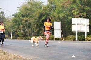 BIB: 
                            <button type="button" onclick="openModal(9034370)" class="btn btn-primary btn-sm float-right btn-popup" data-toggle="modal" data-target=".modal-high-quality">
                        <i class="fas fa-shopping-cart"></i> Add to Cart
                    </button>
                                            <button type="button" onclick="isThisMe(9034370, true)" class="btn btn-success btn-sm float-right btn-popup btn-isme hidden" data-toggle="tooltip" data-placement="bottom" title="นี่คือรูปของคุณใช่ไหม คลิกที่นี่เพื่อเอาเข้าอัลบั้ม">
                        <i class="fas fa-plus"></i> Add to album
                    </button>
                    <button type="button" onclick="isThisMe(9034370, false)" class="btn btn-warning btn-sm float-right btn-popup btn-isnotme hidden">
                        <i class="fas fa-ban"></i> Remove from album
                    </button>