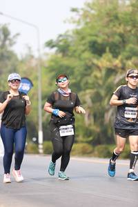 BIB: 48142
                            <button type="button" onclick="openModal(9063181)" class="btn btn-primary btn-sm float-right btn-popup" data-toggle="modal" data-target=".modal-high-quality">
                        <i class="fas fa-shopping-cart"></i> Add to Cart
                    </button>
                                            <button type="button" onclick="isThisMe(9063181, true)" class="btn btn-success btn-sm float-right btn-popup btn-isme hidden" data-toggle="tooltip" data-placement="bottom" title="นี่คือรูปของคุณใช่ไหม คลิกที่นี่เพื่อเอาเข้าอัลบั้ม">
                        <i class="fas fa-plus"></i> Add to album
                    </button>
                    <button type="button" onclick="isThisMe(9063181, false)" class="btn btn-warning btn-sm float-right btn-popup btn-isnotme hidden">
                        <i class="fas fa-ban"></i> Remove from album
                    </button>