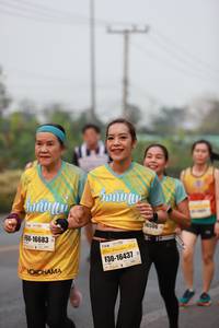BIB: 16506, 16683, 16437
                            <button type="button" onclick="openModal(8670359)" class="btn btn-primary btn-sm float-right btn-popup" data-toggle="modal" data-target=".modal-high-quality">
                        <i class="fas fa-shopping-cart"></i> Add to Cart
                    </button>
                                            <button type="button" onclick="isThisMe(8670359, true)" class="btn btn-success btn-sm float-right btn-popup btn-isme hidden" data-toggle="tooltip" data-placement="bottom" title="นี่คือรูปของคุณใช่ไหม คลิกที่นี่เพื่อเอาเข้าอัลบั้ม">
                        <i class="fas fa-plus"></i> Add to album
                    </button>
                    <button type="button" onclick="isThisMe(8670359, false)" class="btn btn-warning btn-sm float-right btn-popup btn-isnotme hidden">
                        <i class="fas fa-ban"></i> Remove from album
                    </button>
