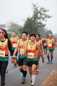 BIB: 10395, 10505
                            <button type="button" onclick="openModal(8656053)" class="btn btn-primary btn-sm float-right btn-popup" data-toggle="modal" data-target=".modal-high-quality">
                        <i class="fas fa-shopping-cart"></i> Add to Cart
                    </button>
                                            <button type="button" onclick="isThisMe(8656053, true)" class="btn btn-success btn-sm float-right btn-popup btn-isme hidden" data-toggle="tooltip" data-placement="bottom" title="นี่คือรูปของคุณใช่ไหม คลิกที่นี่เพื่อเอาเข้าอัลบั้ม">
                        <i class="fas fa-plus"></i> Add to album
                    </button>
                    <button type="button" onclick="isThisMe(8656053, false)" class="btn btn-warning btn-sm float-right btn-popup btn-isnotme hidden">
                        <i class="fas fa-ban"></i> Remove from album
                    </button>
