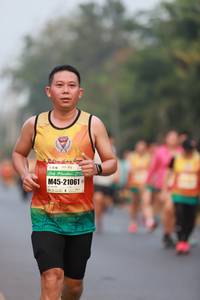 BIB: 21061
                            <button type="button" onclick="openModal(8703294)" class="btn btn-primary btn-sm float-right btn-popup" data-toggle="modal" data-target=".modal-high-quality">
                        <i class="fas fa-shopping-cart"></i> Add to Cart
                    </button>
                                            <button type="button" onclick="isThisMe(8703294, true)" class="btn btn-success btn-sm float-right btn-popup btn-isme hidden" data-toggle="tooltip" data-placement="bottom" title="นี่คือรูปของคุณใช่ไหม คลิกที่นี่เพื่อเอาเข้าอัลบั้ม">
                        <i class="fas fa-plus"></i> Add to album
                    </button>
                    <button type="button" onclick="isThisMe(8703294, false)" class="btn btn-warning btn-sm float-right btn-popup btn-isnotme hidden">
                        <i class="fas fa-ban"></i> Remove from album
                    </button>