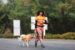 BIB: 
                            <button type="button" onclick="openModal(9034398)" class="btn btn-primary btn-sm float-right btn-popup" data-toggle="modal" data-target=".modal-high-quality">
                        <i class="fas fa-shopping-cart"></i> Add to Cart
                    </button>
                                            <button type="button" onclick="isThisMe(9034398, true)" class="btn btn-success btn-sm float-right btn-popup btn-isme hidden" data-toggle="tooltip" data-placement="bottom" title="นี่คือรูปของคุณใช่ไหม คลิกที่นี่เพื่อเอาเข้าอัลบั้ม">
                        <i class="fas fa-plus"></i> Add to album
                    </button>
                    <button type="button" onclick="isThisMe(9034398, false)" class="btn btn-warning btn-sm float-right btn-popup btn-isnotme hidden">
                        <i class="fas fa-ban"></i> Remove from album
                    </button>