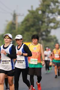 BIB: 22519, 47676, 47529
                            <button type="button" onclick="openModal(9162350)" class="btn btn-primary btn-sm float-right btn-popup" data-toggle="modal" data-target=".modal-high-quality">
                        <i class="fas fa-shopping-cart"></i> Add to Cart
                    </button>
                                            <button type="button" onclick="isThisMe(9162350, true)" class="btn btn-success btn-sm float-right btn-popup btn-isme hidden" data-toggle="tooltip" data-placement="bottom" title="นี่คือรูปของคุณใช่ไหม คลิกที่นี่เพื่อเอาเข้าอัลบั้ม">
                        <i class="fas fa-plus"></i> Add to album
                    </button>
                    <button type="button" onclick="isThisMe(9162350, false)" class="btn btn-warning btn-sm float-right btn-popup btn-isnotme hidden">
                        <i class="fas fa-ban"></i> Remove from album
                    </button>