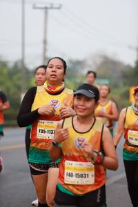 BIB: 1137, 15031
                            <button type="button" onclick="openModal(8669221)" class="btn btn-primary btn-sm float-right btn-popup" data-toggle="modal" data-target=".modal-high-quality">
                        <i class="fas fa-shopping-cart"></i> Add to Cart
                    </button>
                                            <button type="button" onclick="isThisMe(8669221, true)" class="btn btn-success btn-sm float-right btn-popup btn-isme hidden" data-toggle="tooltip" data-placement="bottom" title="นี่คือรูปของคุณใช่ไหม คลิกที่นี่เพื่อเอาเข้าอัลบั้ม">
                        <i class="fas fa-plus"></i> Add to album
                    </button>
                    <button type="button" onclick="isThisMe(8669221, false)" class="btn btn-warning btn-sm float-right btn-popup btn-isnotme hidden">
                        <i class="fas fa-ban"></i> Remove from album
                    </button>
