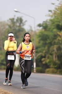 BIB: 47666
                            <button type="button" onclick="openModal(8997621)" class="btn btn-primary btn-sm float-right btn-popup" data-toggle="modal" data-target=".modal-high-quality">
                        <i class="fas fa-shopping-cart"></i> Add to Cart
                    </button>
                                            <button type="button" onclick="isThisMe(8997621, true)" class="btn btn-success btn-sm float-right btn-popup btn-isme hidden" data-toggle="tooltip" data-placement="bottom" title="นี่คือรูปของคุณใช่ไหม คลิกที่นี่เพื่อเอาเข้าอัลบั้ม">
                        <i class="fas fa-plus"></i> Add to album
                    </button>
                    <button type="button" onclick="isThisMe(8997621, false)" class="btn btn-warning btn-sm float-right btn-popup btn-isnotme hidden">
                        <i class="fas fa-ban"></i> Remove from album
                    </button>