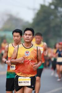 BIB: 16255
                            <button type="button" onclick="openModal(8667969)" class="btn btn-primary btn-sm float-right btn-popup" data-toggle="modal" data-target=".modal-high-quality">
                        <i class="fas fa-shopping-cart"></i> Add to Cart
                    </button>
                                            <button type="button" onclick="isThisMe(8667969, true)" class="btn btn-success btn-sm float-right btn-popup btn-isme hidden" data-toggle="tooltip" data-placement="bottom" title="นี่คือรูปของคุณใช่ไหม คลิกที่นี่เพื่อเอาเข้าอัลบั้ม">
                        <i class="fas fa-plus"></i> Add to album
                    </button>
                    <button type="button" onclick="isThisMe(8667969, false)" class="btn btn-warning btn-sm float-right btn-popup btn-isnotme hidden">
                        <i class="fas fa-ban"></i> Remove from album
                    </button>