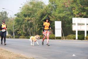 BIB: 
                            <button type="button" onclick="openModal(9034366)" class="btn btn-primary btn-sm float-right btn-popup" data-toggle="modal" data-target=".modal-high-quality">
                        <i class="fas fa-shopping-cart"></i> Add to Cart
                    </button>
                                            <button type="button" onclick="isThisMe(9034366, true)" class="btn btn-success btn-sm float-right btn-popup btn-isme hidden" data-toggle="tooltip" data-placement="bottom" title="นี่คือรูปของคุณใช่ไหม คลิกที่นี่เพื่อเอาเข้าอัลบั้ม">
                        <i class="fas fa-plus"></i> Add to album
                    </button>
                    <button type="button" onclick="isThisMe(9034366, false)" class="btn btn-warning btn-sm float-right btn-popup btn-isnotme hidden">
                        <i class="fas fa-ban"></i> Remove from album
                    </button>