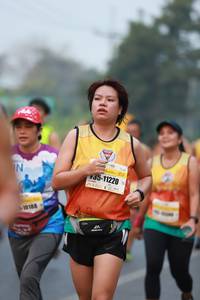 BIB: 11220, 10188
                            <button type="button" onclick="openModal(8667924)" class="btn btn-primary btn-sm float-right btn-popup" data-toggle="modal" data-target=".modal-high-quality">
                        <i class="fas fa-shopping-cart"></i> Add to Cart
                    </button>
                                            <button type="button" onclick="isThisMe(8667924, true)" class="btn btn-success btn-sm float-right btn-popup btn-isme hidden" data-toggle="tooltip" data-placement="bottom" title="นี่คือรูปของคุณใช่ไหม คลิกที่นี่เพื่อเอาเข้าอัลบั้ม">
                        <i class="fas fa-plus"></i> Add to album
                    </button>
                    <button type="button" onclick="isThisMe(8667924, false)" class="btn btn-warning btn-sm float-right btn-popup btn-isnotme hidden">
                        <i class="fas fa-ban"></i> Remove from album
                    </button>
