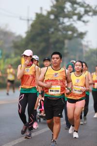 BIB: 17703
                            <button type="button" onclick="openModal(8672172)" class="btn btn-primary btn-sm float-right btn-popup" data-toggle="modal" data-target=".modal-high-quality">
                        <i class="fas fa-shopping-cart"></i> Add to Cart
                    </button>
                                            <button type="button" onclick="isThisMe(8672172, true)" class="btn btn-success btn-sm float-right btn-popup btn-isme hidden" data-toggle="tooltip" data-placement="bottom" title="นี่คือรูปของคุณใช่ไหม คลิกที่นี่เพื่อเอาเข้าอัลบั้ม">
                        <i class="fas fa-plus"></i> Add to album
                    </button>
                    <button type="button" onclick="isThisMe(8672172, false)" class="btn btn-warning btn-sm float-right btn-popup btn-isnotme hidden">
                        <i class="fas fa-ban"></i> Remove from album
                    </button>
