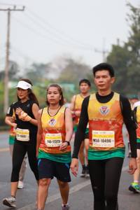 BIB: 10097, 10496, 17373
                            <button type="button" onclick="openModal(8670203)" class="btn btn-primary btn-sm float-right btn-popup" data-toggle="modal" data-target=".modal-high-quality">
                        <i class="fas fa-shopping-cart"></i> Add to Cart
                    </button>
                                            <button type="button" onclick="isThisMe(8670203, true)" class="btn btn-success btn-sm float-right btn-popup btn-isme hidden" data-toggle="tooltip" data-placement="bottom" title="นี่คือรูปของคุณใช่ไหม คลิกที่นี่เพื่อเอาเข้าอัลบั้ม">
                        <i class="fas fa-plus"></i> Add to album
                    </button>
                    <button type="button" onclick="isThisMe(8670203, false)" class="btn btn-warning btn-sm float-right btn-popup btn-isnotme hidden">
                        <i class="fas fa-ban"></i> Remove from album
                    </button>