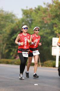 BIB: 
                            <button type="button" onclick="openModal(8993773)" class="btn btn-primary btn-sm float-right btn-popup" data-toggle="modal" data-target=".modal-high-quality">
                        <i class="fas fa-shopping-cart"></i> Add to Cart
                    </button>
                                            <button type="button" onclick="isThisMe(8993773, true)" class="btn btn-success btn-sm float-right btn-popup btn-isme hidden" data-toggle="tooltip" data-placement="bottom" title="นี่คือรูปของคุณใช่ไหม คลิกที่นี่เพื่อเอาเข้าอัลบั้ม">
                        <i class="fas fa-plus"></i> Add to album
                    </button>
                    <button type="button" onclick="isThisMe(8993773, false)" class="btn btn-warning btn-sm float-right btn-popup btn-isnotme hidden">
                        <i class="fas fa-ban"></i> Remove from album
                    </button>