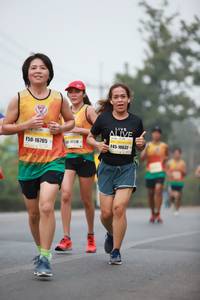 BIB: 16705, 10632
                            <button type="button" onclick="openModal(8510241)" class="btn btn-primary btn-sm float-right btn-popup" data-toggle="modal" data-target=".modal-high-quality">
                        <i class="fas fa-shopping-cart"></i> Add to Cart
                    </button>
                                            <button type="button" onclick="isThisMe(8510241, true)" class="btn btn-success btn-sm float-right btn-popup btn-isme hidden" data-toggle="tooltip" data-placement="bottom" title="นี่คือรูปของคุณใช่ไหม คลิกที่นี่เพื่อเอาเข้าอัลบั้ม">
                        <i class="fas fa-plus"></i> Add to album
                    </button>
                    <button type="button" onclick="isThisMe(8510241, false)" class="btn btn-warning btn-sm float-right btn-popup btn-isnotme hidden">
                        <i class="fas fa-ban"></i> Remove from album
                    </button>