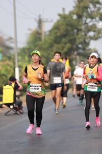 BIB: 150, 40115, 40106
                            <button type="button" onclick="openModal(9162055)" class="btn btn-primary btn-sm float-right btn-popup" data-toggle="modal" data-target=".modal-high-quality">
                        <i class="fas fa-shopping-cart"></i> Add to Cart
                    </button>
                                            <button type="button" onclick="isThisMe(9162055, true)" class="btn btn-success btn-sm float-right btn-popup btn-isme hidden" data-toggle="tooltip" data-placement="bottom" title="นี่คือรูปของคุณใช่ไหม คลิกที่นี่เพื่อเอาเข้าอัลบั้ม">
                        <i class="fas fa-plus"></i> Add to album
                    </button>
                    <button type="button" onclick="isThisMe(9162055, false)" class="btn btn-warning btn-sm float-right btn-popup btn-isnotme hidden">
                        <i class="fas fa-ban"></i> Remove from album
                    </button>
