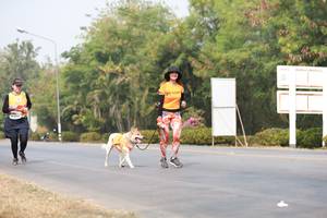 BIB: 
                            <button type="button" onclick="openModal(9034354)" class="btn btn-primary btn-sm float-right btn-popup" data-toggle="modal" data-target=".modal-high-quality">
                        <i class="fas fa-shopping-cart"></i> Add to Cart
                    </button>
                                            <button type="button" onclick="isThisMe(9034354, true)" class="btn btn-success btn-sm float-right btn-popup btn-isme hidden" data-toggle="tooltip" data-placement="bottom" title="นี่คือรูปของคุณใช่ไหม คลิกที่นี่เพื่อเอาเข้าอัลบั้ม">
                        <i class="fas fa-plus"></i> Add to album
                    </button>
                    <button type="button" onclick="isThisMe(9034354, false)" class="btn btn-warning btn-sm float-right btn-popup btn-isnotme hidden">
                        <i class="fas fa-ban"></i> Remove from album
                    </button>