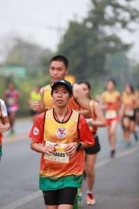 BIB: 0685
                            <button type="button" onclick="openModal(8656850)" class="btn btn-primary btn-sm float-right btn-popup" data-toggle="modal" data-target=".modal-high-quality">
                        <i class="fas fa-shopping-cart"></i> Add to Cart
                    </button>
                                            <button type="button" onclick="isThisMe(8656850, true)" class="btn btn-success btn-sm float-right btn-popup btn-isme hidden" data-toggle="tooltip" data-placement="bottom" title="นี่คือรูปของคุณใช่ไหม คลิกที่นี่เพื่อเอาเข้าอัลบั้ม">
                        <i class="fas fa-plus"></i> Add to album
                    </button>
                    <button type="button" onclick="isThisMe(8656850, false)" class="btn btn-warning btn-sm float-right btn-popup btn-isnotme hidden">
                        <i class="fas fa-ban"></i> Remove from album
                    </button>