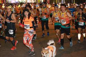 BIB: 069, 40720
                            <button type="button" onclick="openModal(7955033)" class="btn btn-primary btn-sm float-right btn-popup" data-toggle="modal" data-target=".modal-high-quality">
                        <i class="fas fa-shopping-cart"></i> Add to Cart
                    </button>
                                            <button type="button" onclick="isThisMe(7955033, true)" class="btn btn-success btn-sm float-right btn-popup btn-isme hidden" data-toggle="tooltip" data-placement="bottom" title="นี่คือรูปของคุณใช่ไหม คลิกที่นี่เพื่อเอาเข้าอัลบั้ม">
                        <i class="fas fa-plus"></i> Add to album
                    </button>
                    <button type="button" onclick="isThisMe(7955033, false)" class="btn btn-warning btn-sm float-right btn-popup btn-isnotme hidden">
                        <i class="fas fa-ban"></i> Remove from album
                    </button>