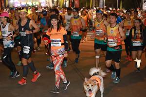 BIB: 40069, 48720
                            <button type="button" onclick="openModal(7955015)" class="btn btn-primary btn-sm float-right btn-popup" data-toggle="modal" data-target=".modal-high-quality">
                        <i class="fas fa-shopping-cart"></i> Add to Cart
                    </button>
                                            <button type="button" onclick="isThisMe(7955015, true)" class="btn btn-success btn-sm float-right btn-popup btn-isme hidden" data-toggle="tooltip" data-placement="bottom" title="นี่คือรูปของคุณใช่ไหม คลิกที่นี่เพื่อเอาเข้าอัลบั้ม">
                        <i class="fas fa-plus"></i> Add to album
                    </button>
                    <button type="button" onclick="isThisMe(7955015, false)" class="btn btn-warning btn-sm float-right btn-popup btn-isnotme hidden">
                        <i class="fas fa-ban"></i> Remove from album
                    </button>