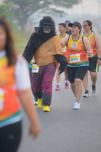 BIB: 17123, 15429
                            <button type="button" onclick="openModal(9961541)" class="btn btn-primary btn-sm float-right btn-popup" data-toggle="modal" data-target=".modal-high-quality">
                        <i class="fas fa-shopping-cart"></i> Add to Cart
                    </button>
                                            <button type="button" onclick="isThisMe(9961541, true)" class="btn btn-success btn-sm float-right btn-popup btn-isme hidden" data-toggle="tooltip" data-placement="bottom" title="นี่คือรูปของคุณใช่ไหม คลิกที่นี่เพื่อเอาเข้าอัลบั้ม">
                        <i class="fas fa-plus"></i> Add to album
                    </button>
                    <button type="button" onclick="isThisMe(9961541, false)" class="btn btn-warning btn-sm float-right btn-popup btn-isnotme hidden">
                        <i class="fas fa-ban"></i> Remove from album
                    </button>